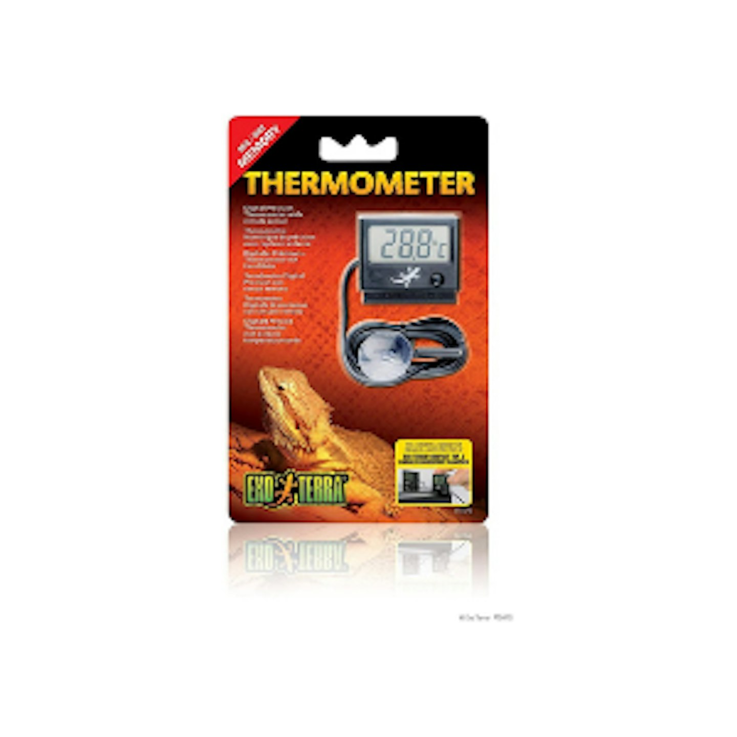 The Best Bearded Dragon Care